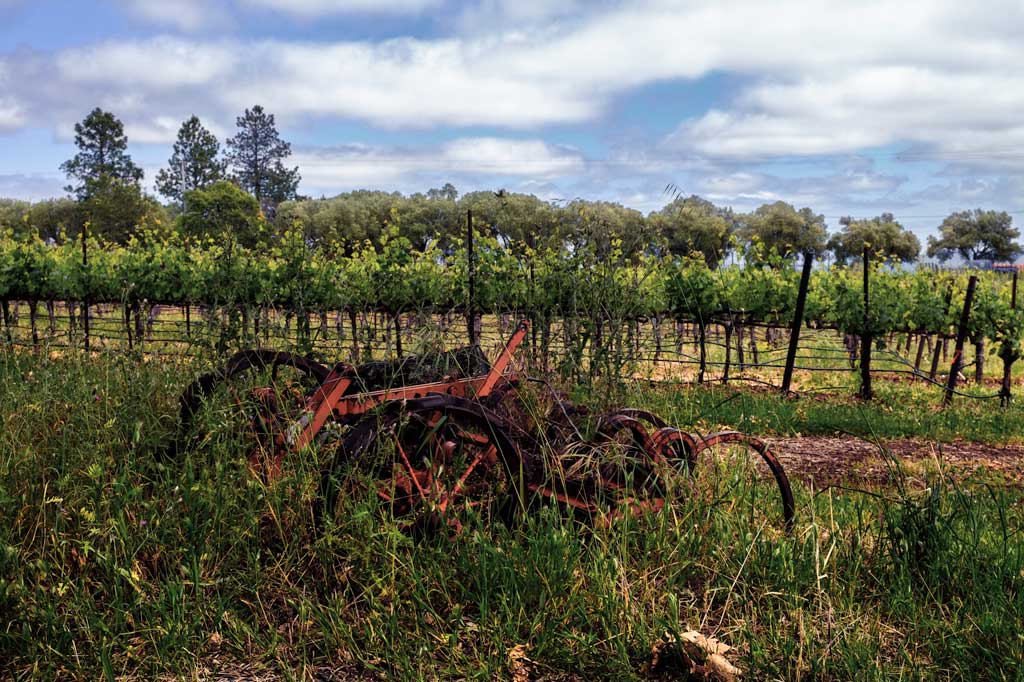 Vineyard old machine
